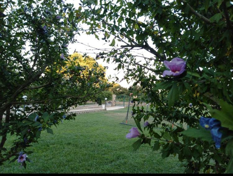 Favoloso Appartamento In Villa Monterosi Buitenkant foto
