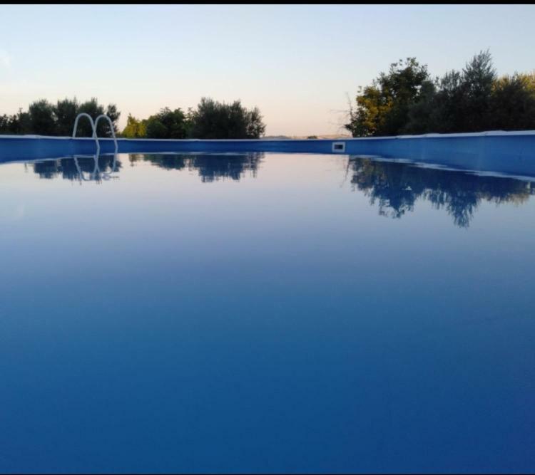 Favoloso Appartamento In Villa Monterosi Buitenkant foto