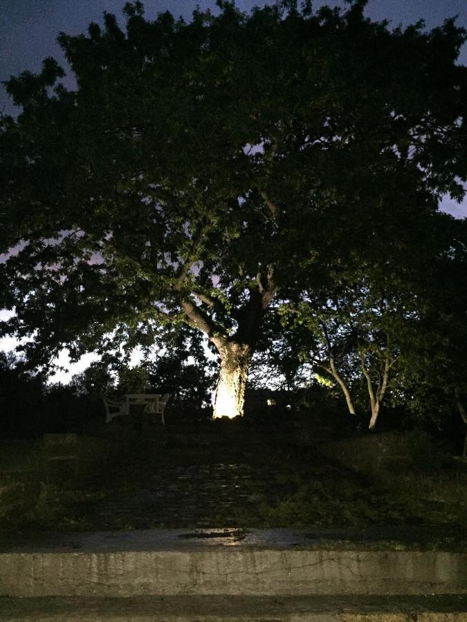 Favoloso Appartamento In Villa Monterosi Buitenkant foto