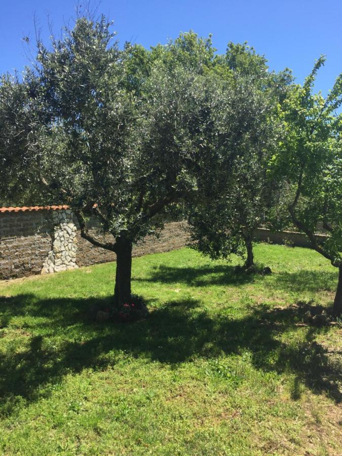 Favoloso Appartamento In Villa Monterosi Buitenkant foto